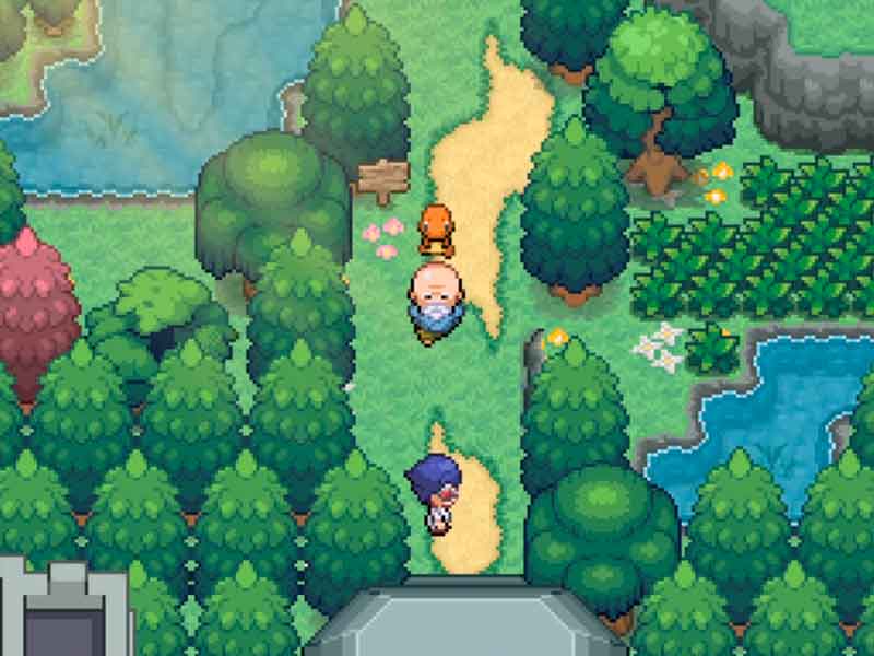 Pokémon Journey of Magnificence.
