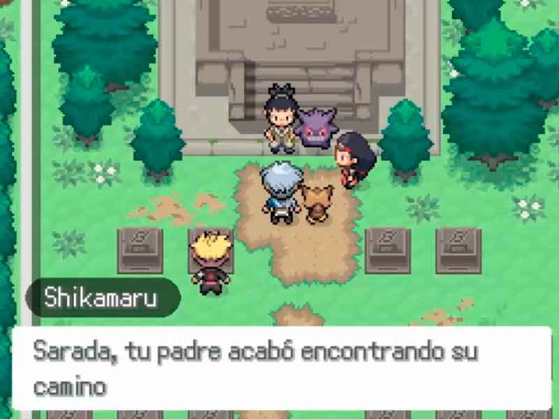 Pokémon shinobi in English with Eighth Generation.