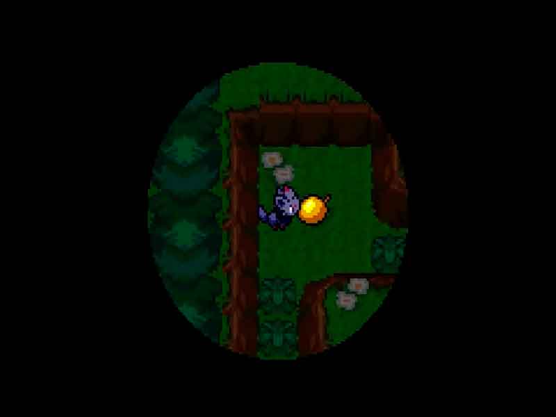 Pokémon Mystery 9 GBA.