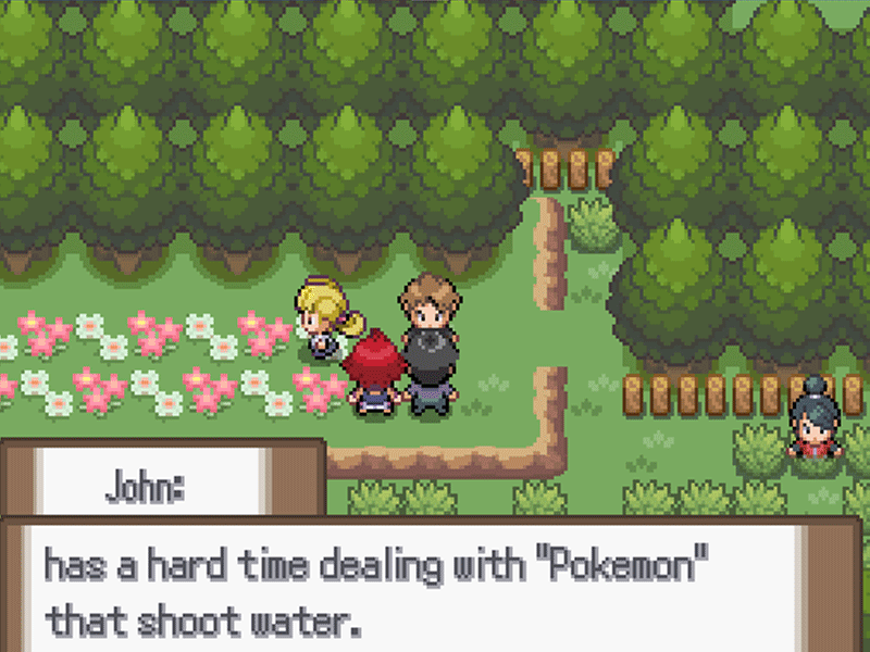 The first journey: Pokémon Oak Adventure