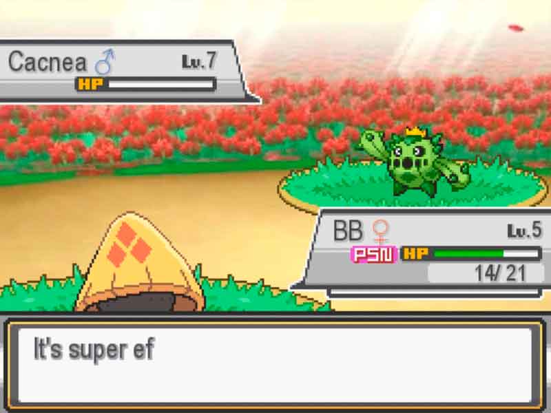 Pokémon acceptance con NUEVA HISTORIA y REGIÓN