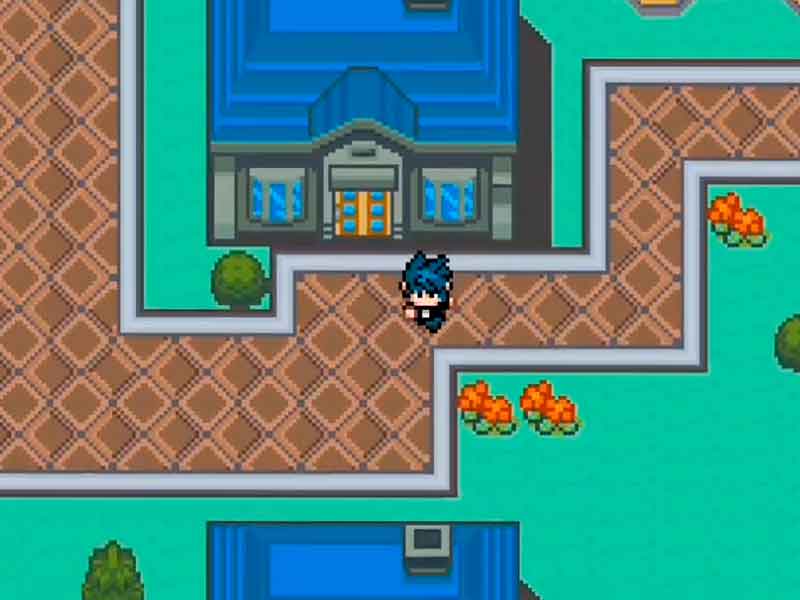 Pokemon Scandal Live Tour GBA.