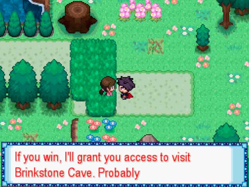 Pokémon Zorua fangame Complete.