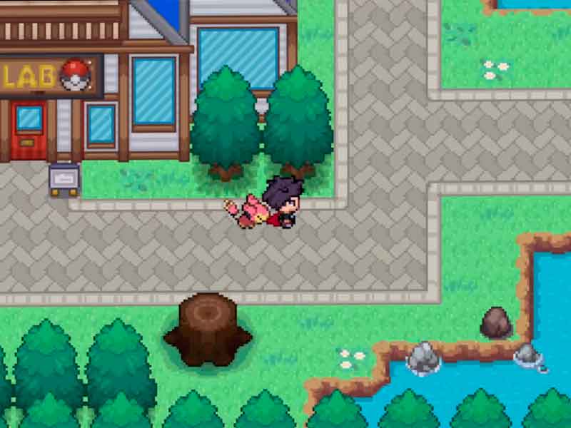 Pokémon Zorua fangame Complete.