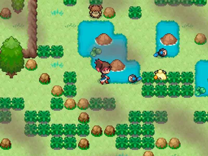 Pokémon Reset in English.