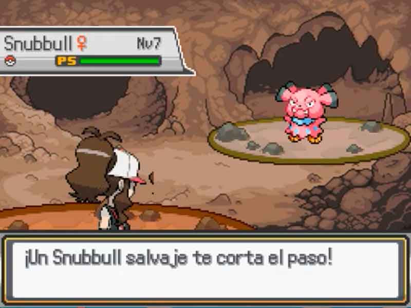 Pokémon Revelations en Español