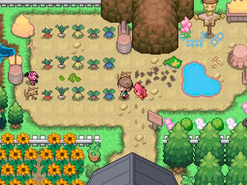 Pokémon Circon en Español