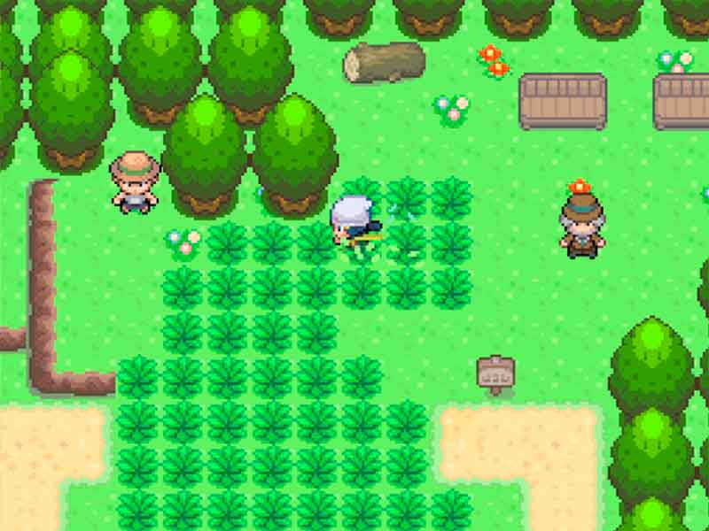 Pokémon Reborn in English.