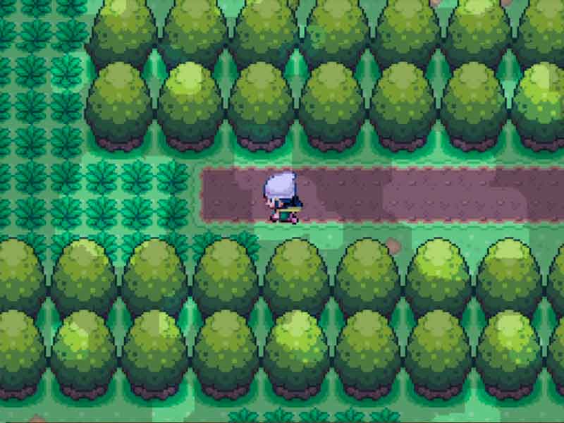 Pokémon Reborn in English.