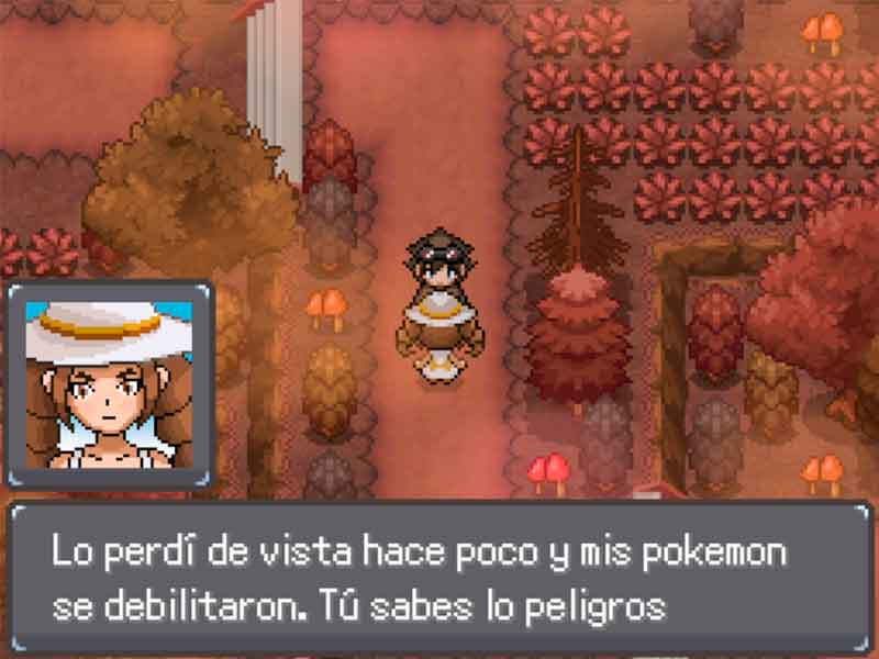 Pokémon Cataclysm in English.