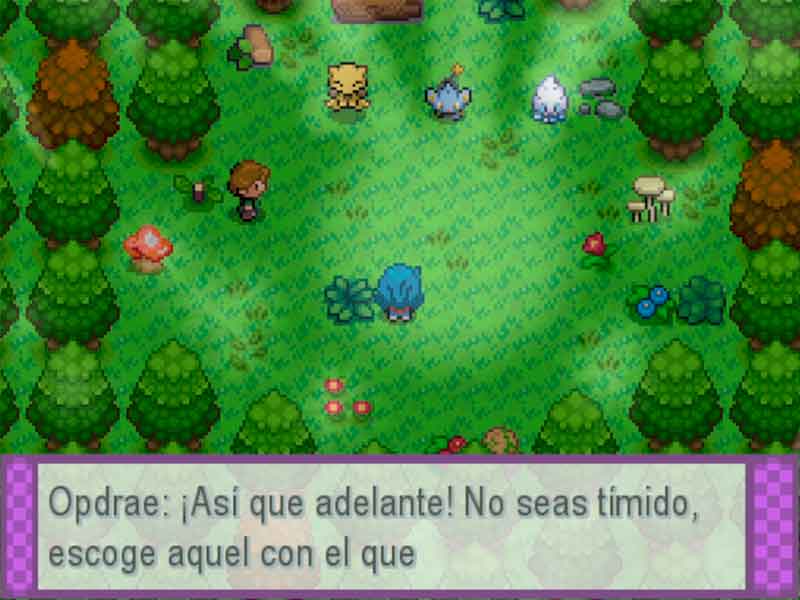 Pokémon Anarchy en Español