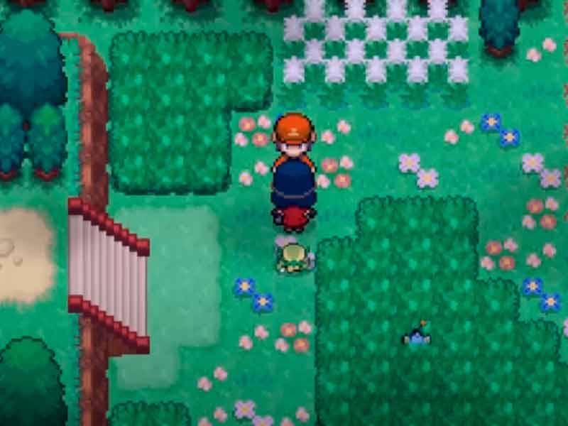 Pokémon Zenit in English.