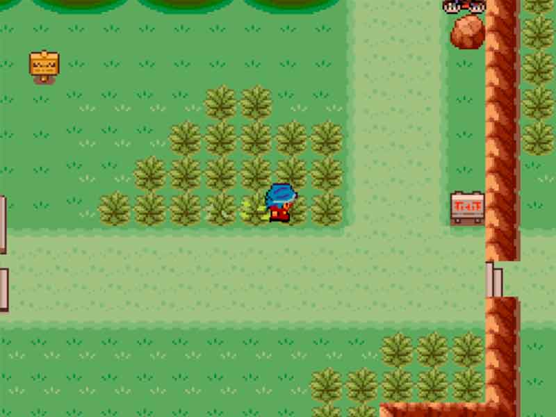 Pokémon Roquefort Completo