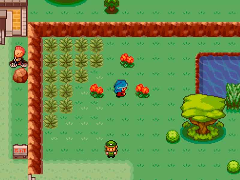 Pokémon Roquefort Completo