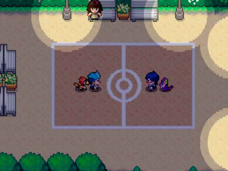 Pokémon Flux
