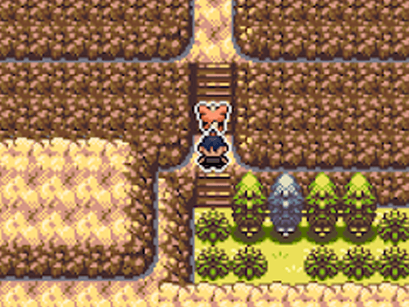 Pokémon: Fire of Sky